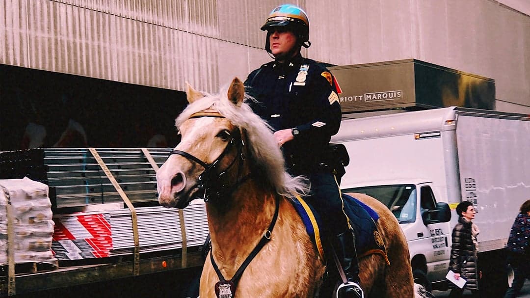 ¡Persecución Épica en NYC! Un Policía a Caballo Se Vuelve Viral Como en Un GTA de la Vida Real